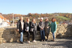 313494133_1473531819796348_6906403631581010398_n