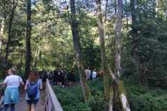 received_1363537737918476