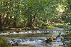 received_254018877611058