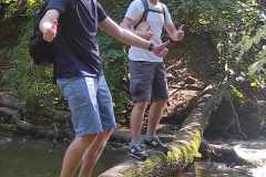 received_269639519357122