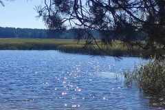 received_339890508578971