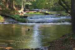 received_6151496068289454