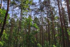 received_101447066331077