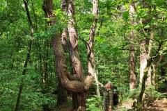 received_129203770160658