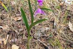 received_163177090076807