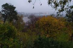 received_1180167729596739