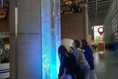 received_1302832227147200