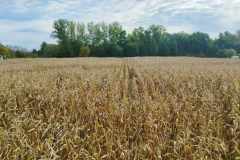 received_1037840250975664