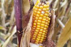 received_1899542790441561