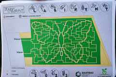 received_251876941173879