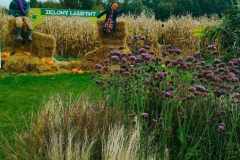 received_382050287676759