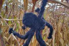 received_709274517293202