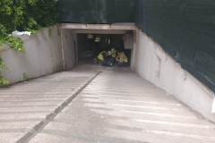 received_1291483738113315