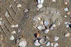 received_241589471863608