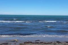 received_255316286860664