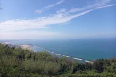 received_1609825609517483