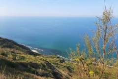 received_772666247650627