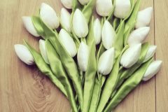 277503065_10225026726566954_3080150388786628613_n