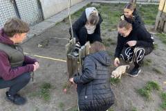 received_1248242739180492