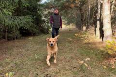 received_1562796857880095