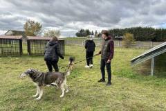 received_1737941590057521