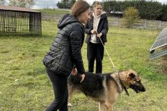 received_257578530248472