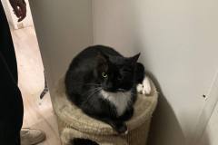 received_3466357386951627