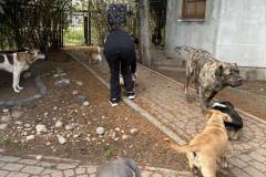 received_356572463424153