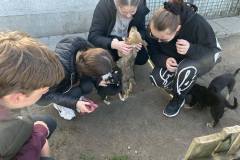 received_632686775737721