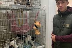 received_642217928092737