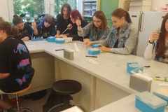 received_1707539182993397