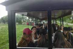 received_648284333808457