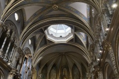 IMG_2003