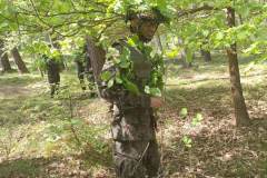 received_236448102348413