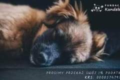 FB_IMG_1672315451387