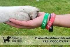 FB_IMG_1672315456646