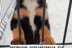 FB_IMG_1672315467769