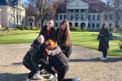 IMG_20221107_204628