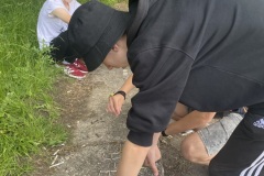 IMG-6604