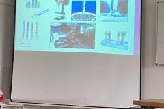 received_3474245199562641