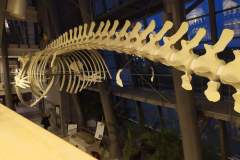 received_3313783055572817