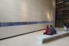 288411843_427610829373079_5925298637561432081_n