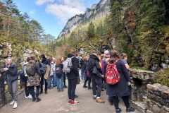 IMG_20221018_160438