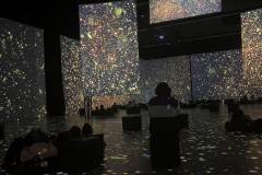 received_958575972291367