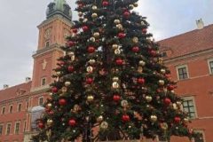 IMG_20221213_111826
