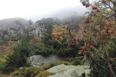 received_1132258684054590