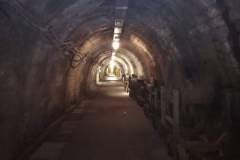 received_681285276766611