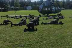 received_859261792493193