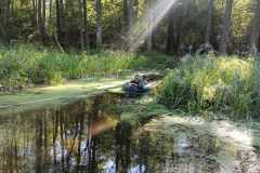 received_751354346753077