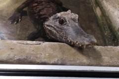 received_1293696044901751